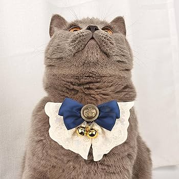 aya＊ 様 猫の首輪 Amazon | AAGWW ネコ 首輪 ネコ首輪 犬の首輪 安全バックル ベル